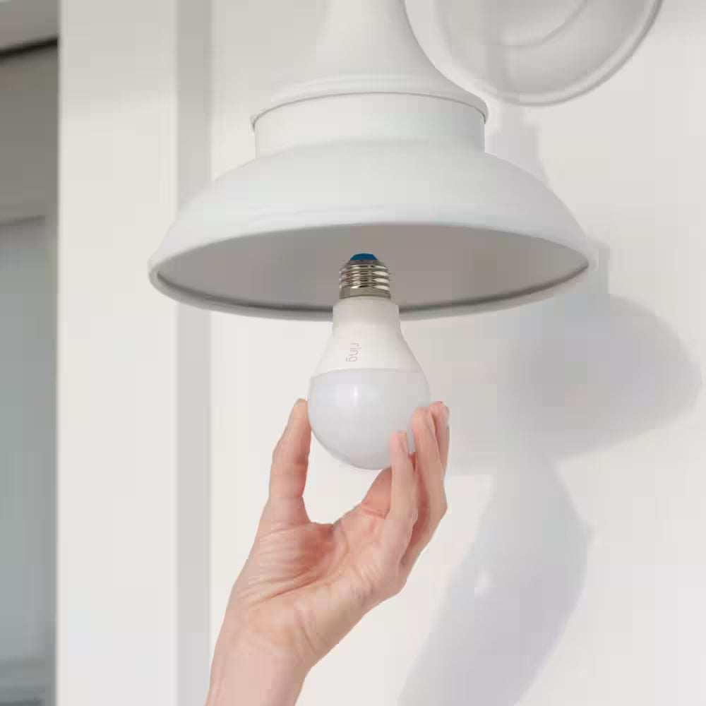 60-Watt Equivalent A19 LED Smart Light Bulb with Bridge (2-Pack)