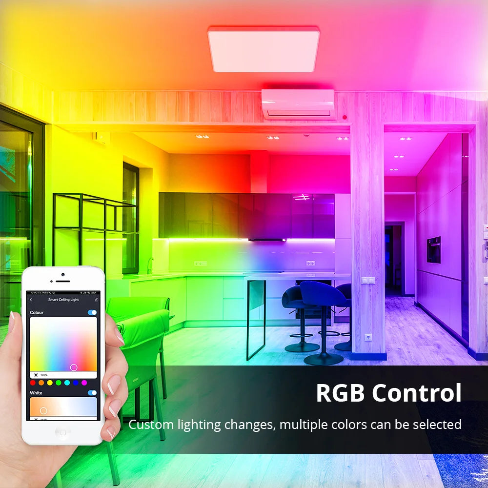 34W Wifi LED Ceiling Light Double Layer Type Dimmable CCT Ultrathin Surface Mounting Lamp RGB Colorful Back Light Work with Tuya