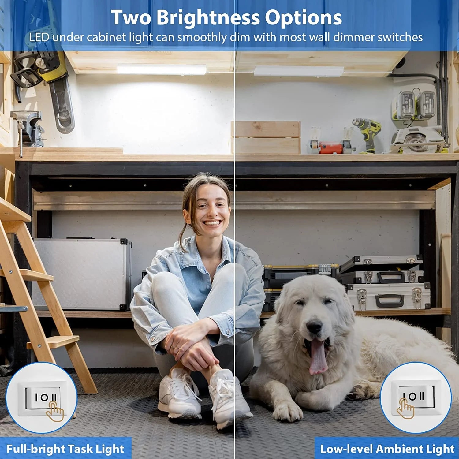 LED under Cabinet Lighting, 12 Inch Plug in under Counter Light Fixture, Dimmable, ETL& Energy Star, 3 Color Changing Linkable over Sink Lighting for Kitchen, Office, Garage, Workshop